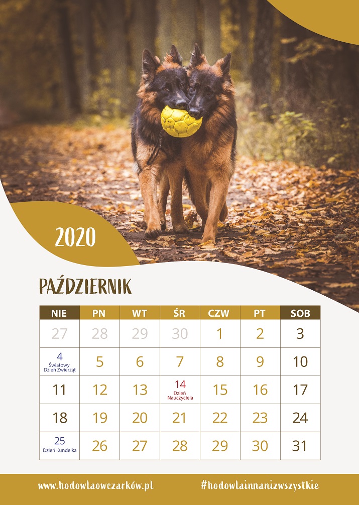 kalendarz-z-psami-2020
